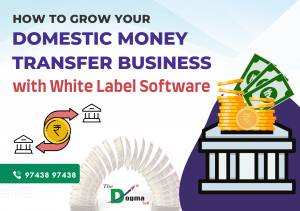How to grow your Domestic Money Transfer Business with White Label Software